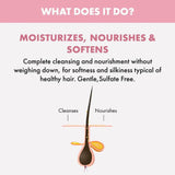 Buy Original Alfaparf Milano Professional Nourishing Shampoo 250ml - Online at Best Price in Pakistan Buy Original Alfaparf Milano Professional Nourishing Shampoo 250ml - Online at Best Price in Pakistan