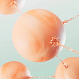 Buy Original ANUA PDRN Hyaluronic Acid Capsule 100+ Serum 30ml - Online at Best Price in Pakistan Buy Original ANUA PDRN Hyaluronic Acid Capsule 100+ Serum 30ml - Online at Best Price in Pakistan