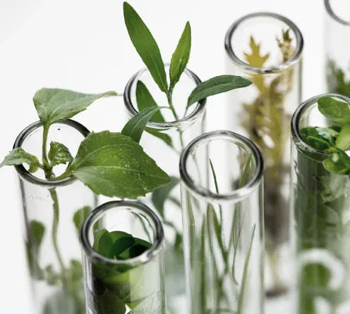 Buy Original BIOBLAS Anti-Dandruff and Anti-Hair Loss Shampoo 360ml - Online at Best Price in Pakistan