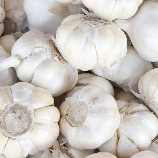 Buy Original BIOBLAS Strengthening Anti-Hair Loss Shampoo 360ml - Online at Best Price in Pakistan