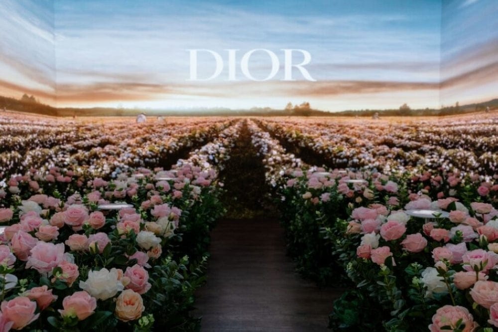 Buy Original DIOR Capture Totale High-Performance Gentle Cleanser 150ml - Online at Best Price in Pakistan Buy Original DIOR Capture Totale High-Performance Gentle Cleanser 150ml - Online at Best Price in Pakistan