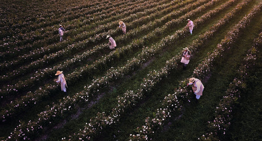 Buy Original Dior Prestige Le Nectar Serum 30Ml - Online at Best Price in Pakistan