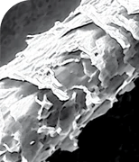 Buy Original GK HAIR Smoothing Serum 50ml - Online at Best Price in Pakistan Buy Original GK HAIR Smoothing Serum 50ml - Online at Best Price in Pakistan