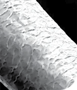 Buy Original GK HAIR Smoothing Serum 50ml - Online at Best Price in Pakistan Buy Original GK HAIR Smoothing Serum 50ml - Online at Best Price in Pakistan