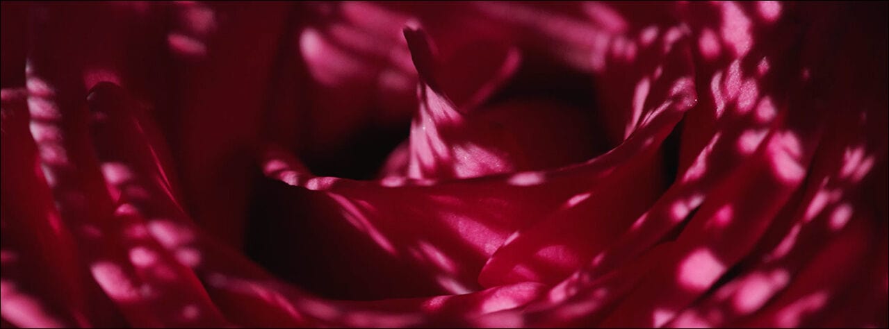 Buy Original Lancome Absolue Soft Cream 15ml - Online at Best Price in Pakistan Buy Original Lancome Absolue Soft Cream 15ml - Online at Best Price in Pakistan