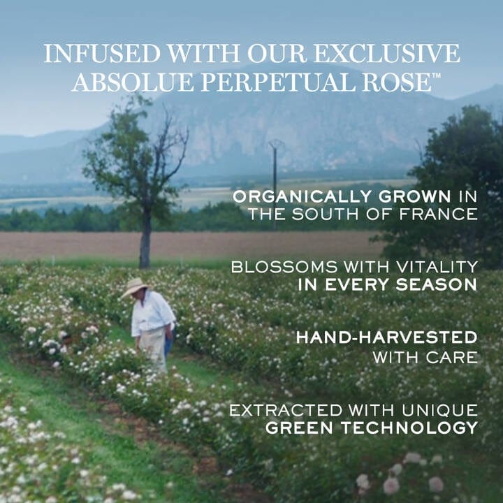 Buy Original Lancome Absolue Soft Cream 15ml - Online at Best Price in Pakistan Buy Original Lancome Absolue Soft Cream 15ml - Online at Best Price in Pakistan