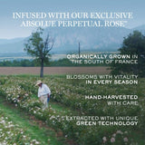 Buy Original Lancome Absolue Soft Cream 15ml - Online at Best Price in Pakistan Buy Original Lancome Absolue Soft Cream 15ml - Online at Best Price in Pakistan