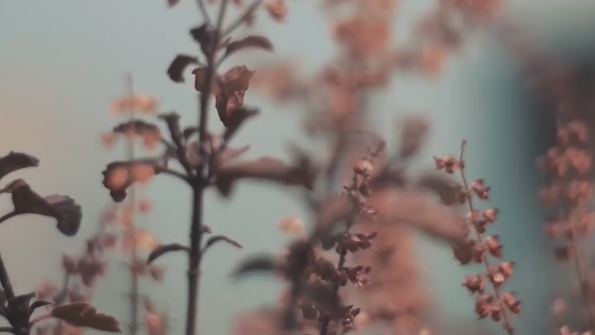 GK HAIR Smoothing Serum 50ml GK HAIR Smoothing Serum 50ml