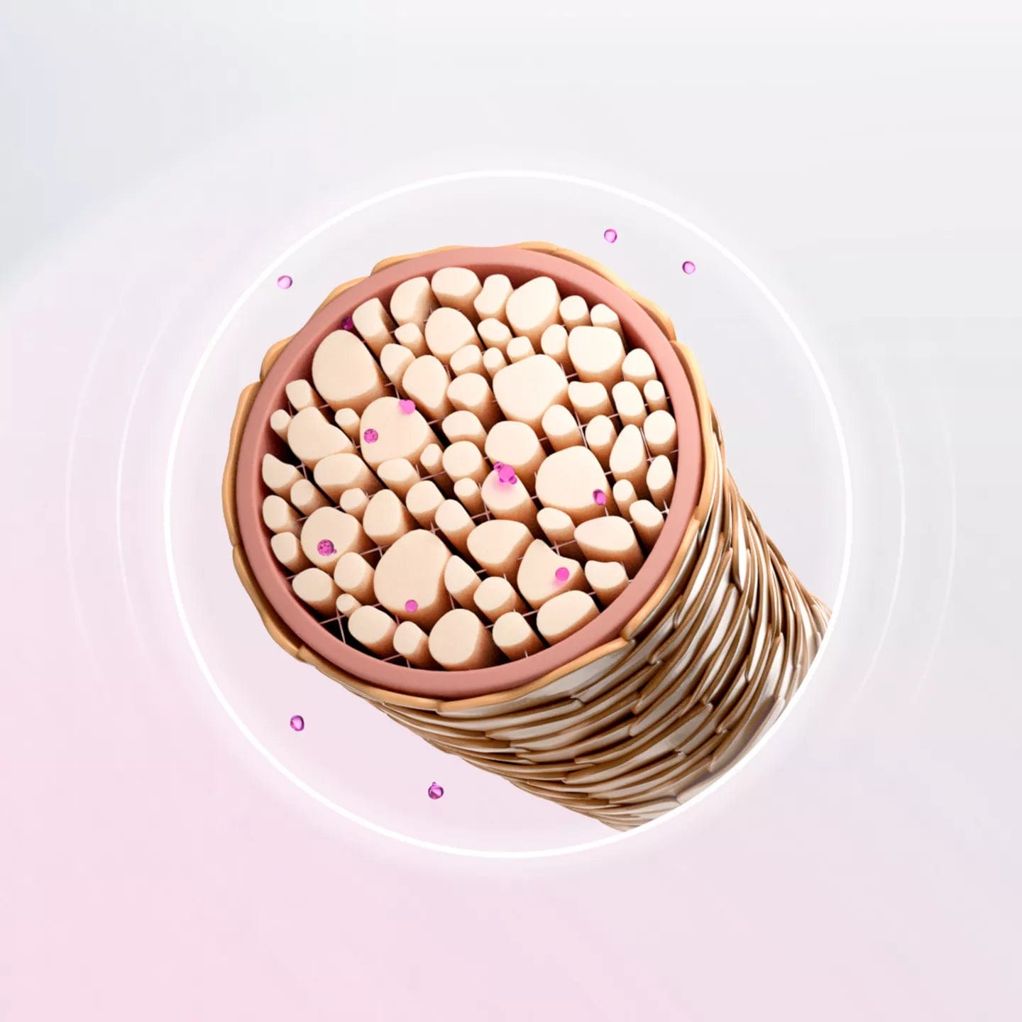 Buy Original Schwarzkopf Professional Bonacure Color Freeze Conditioner 200ml - Online at Best Price in Pakistan Buy Original Schwarzkopf Professional Bonacure Color Freeze Conditioner 200ml - Online at Best Price in Pakistan