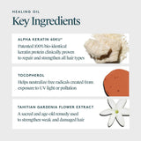 Buy Original Virtue Labs Healing Oil 20ml - Online at Best Price in Pakistan Buy Original Virtue Labs Healing Oil 20ml - Online at Best Price in Pakistan