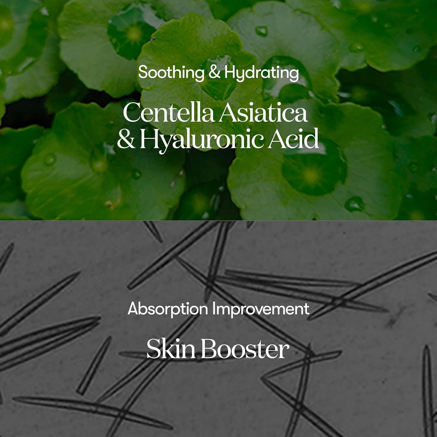 Buy Original VT Cosmetics Cica Reedle Shot 100 50ml - Online at Best Price in Pakistan Buy Original VT Cosmetics Cica Reedle Shot 100 50ml - Online at Best Price in Pakistan