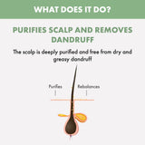 Buy Original Alfaparf Milano Professional Scalp Rebalance Gentle Exfoliating Scrub 150ml - Online at Best Price in Pakistan