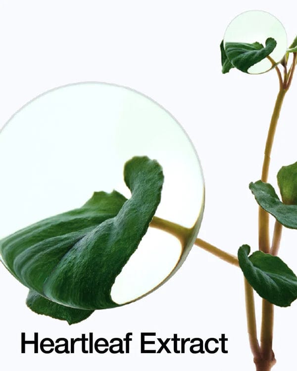 Buy Original ANUA Heartleaf 70% Intense Calming Cream 50ml - Online at Best Price in Pakistan