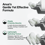 Buy Original ANUA Heartleaf Centella Red Spot Cream 30g - Online at Best Price in Pakistan