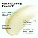 Buy Original Anua Heartleaf LHA Moisture Peeling Gel 120ml - Online at Best Price in Pakistan