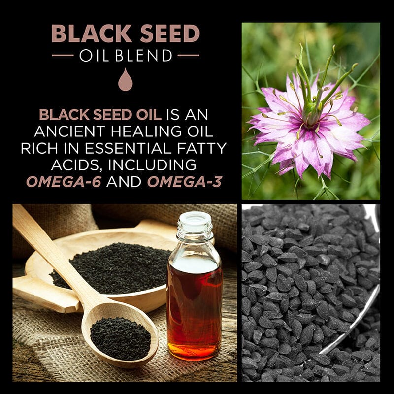 Buy Original CHI Luxury Black Seed Oil Blend Moisture Replenish Conditioner 355ml - Online at Best Price in Pakistan