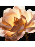 Buy Original DIOR Prestige Le Micro-Fluide Teint De Rose 1N Neutral 30ml - Online at Best Price in Pakistan