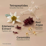 Buy Original Elizabeth Arden Advanced Ceramide Lift and Firm Day and Night Cream Set - Online at Best Price in Pakistan