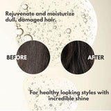 CHI Argan Oil Rejuvenating Hair Masque 237ml