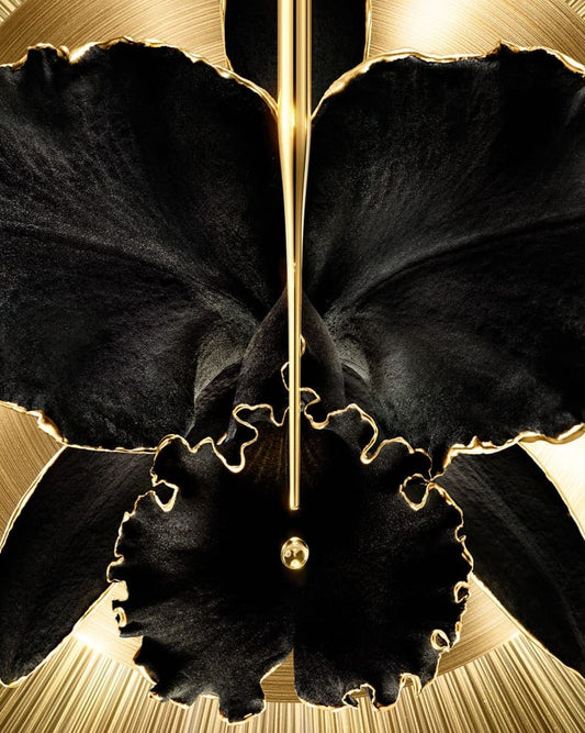 Buy Original Guerlain Orchidée Impériale Black Cure 4x15ml - Online at Best Price in Pakistan