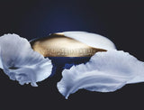 Buy Original Guerlain Orchidee Imperiale Riche Cream 50ml - Online at Best Price in Pakistan