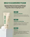 Buy Original K-Secret Seoul 1988 Cleansing Foam Pine Cica 1% + Probiotics 150ml - Online at Best Price in Pakistan