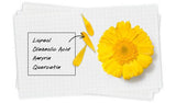 Buy Original Kiehl's Calendula Serum Infused Water Cream 50ml - Online at Best Price in Pakistan