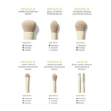 Buy Original Morphe Buttery Blends 6-Piece Travel Brush Set - Online at Best Price in Pakistan
