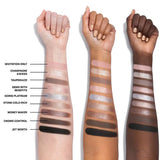 Buy Original Morphe Rich & Foiled Going Platinum Eyeshadow Palette - Online at Best Price in Pakistan