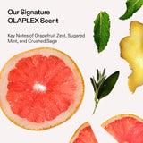 Buy Original OLAPLEX N°.4 Bond Maintenance Strengthening Shampoo 100ml - Online at Best Price in Pakistan