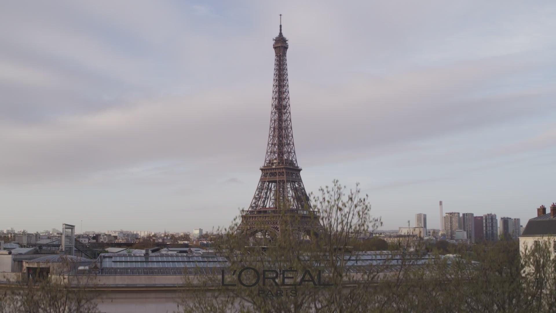 L'Oreal Paris Rouge Signature Matte Liquid Lipstick 113 I Don't