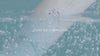 Beauty of Joseon Relief Sun Aqua-Fresh 50ml