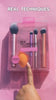 Real Techniques Everyday Essentials Makeup Brush Set with Bonus Miracle Complexion Sponge