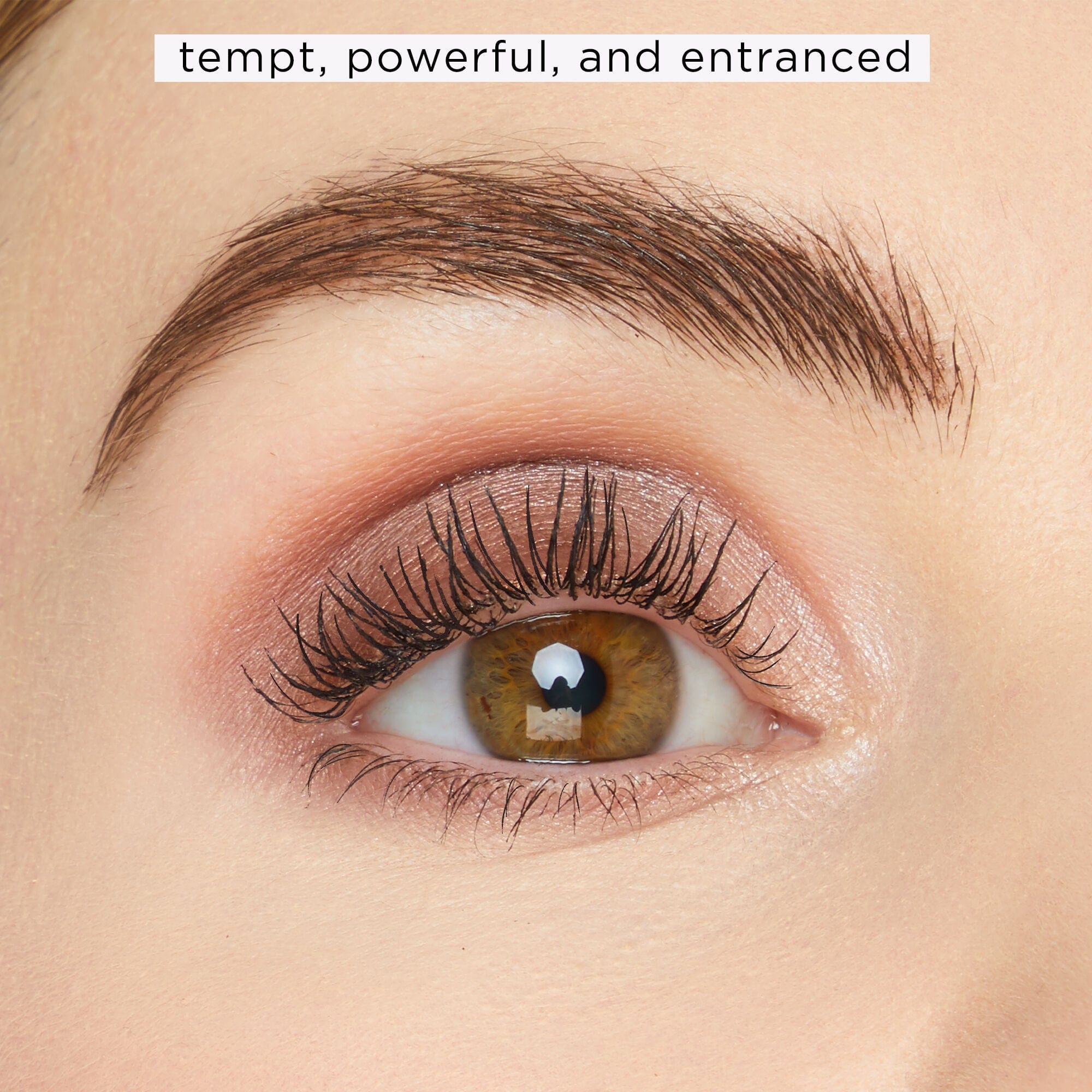 Buy Original Tarte Cosmetics Rainforest Temptations Eye & Cheek Palette - Online at Best Price in Pakistan