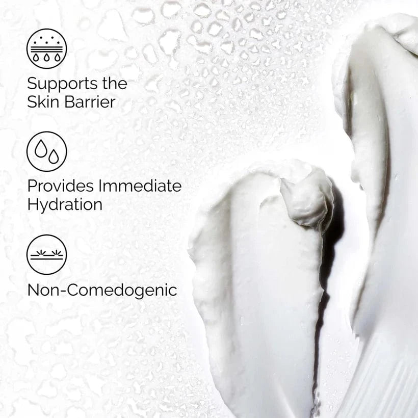 Buy Original The Ordinary Natural Moisturizing Factors + HA 100ml - Online at Best Price in Pakistan