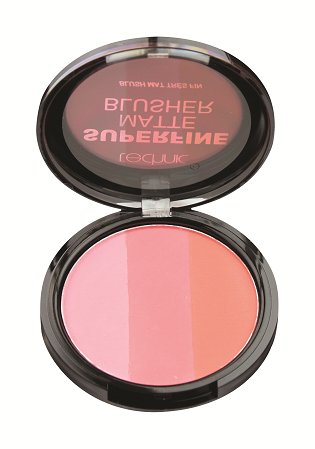 Buy Technic Superfine Matte Blush | cosmeticsdiarypk 100% Original Beauty Products